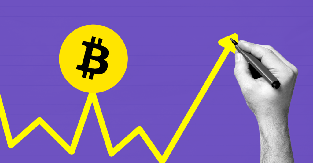 Stablecoin Insights: Bitcoin Whales and Sharks Signal Bullish Wave on the Horizon