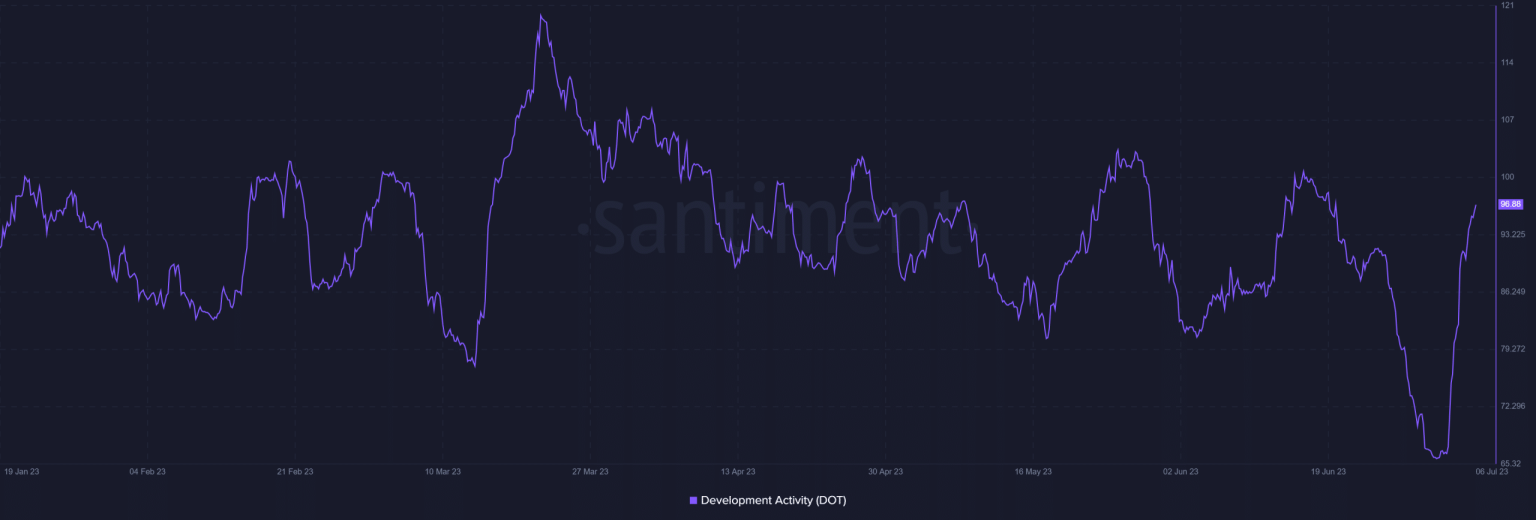 Polkadot vs Cardano: Neck-to-neck in dev activity, but…