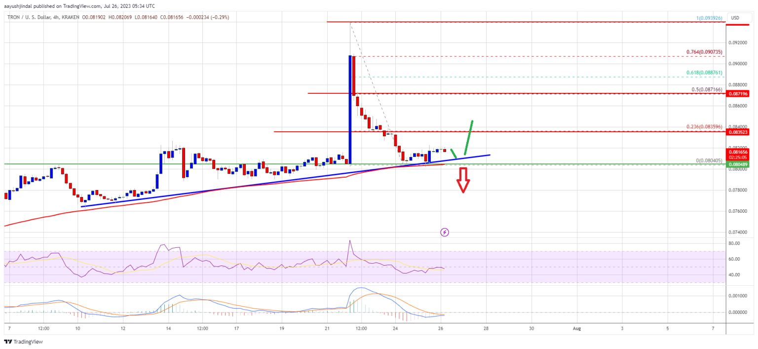 TRX Trades Near Key Juncture, Can It Rally Again?
