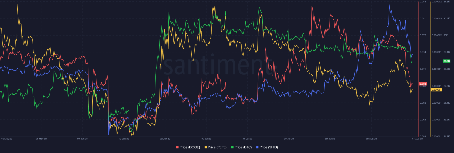 PEPE, Bitcoin, and the common thread between them