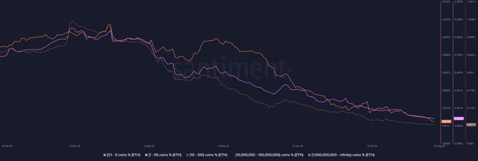 Ethereum: What the top holders’ wallets tell you about ETH’s future
