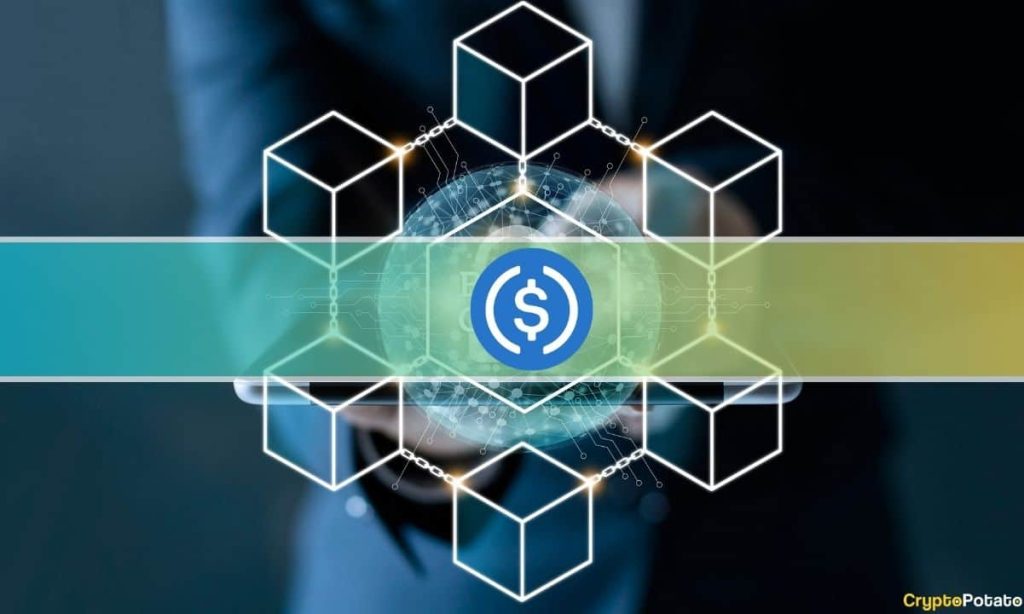 USDC to Launch on These 6 Blockchains Within 2 Months: Report