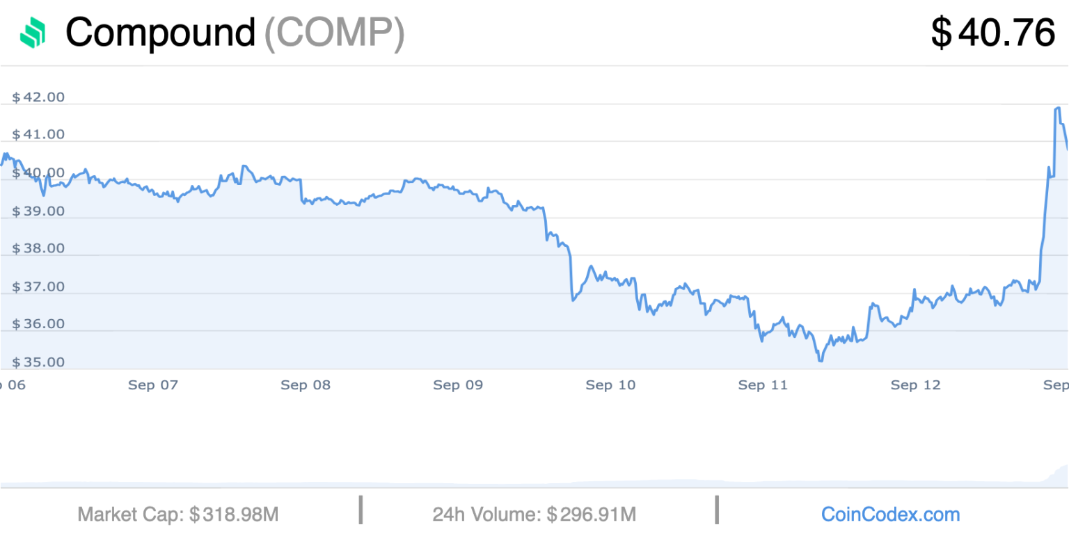 5 Best Altcoins To Invest In Right Now – Compound, Rollbit Coin, Polkadot