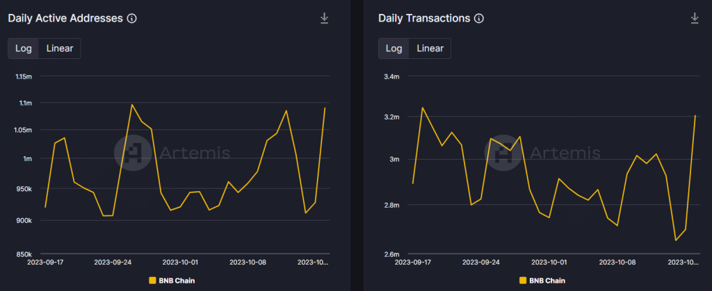 Will BNB see a resurgence? Assessing the odds