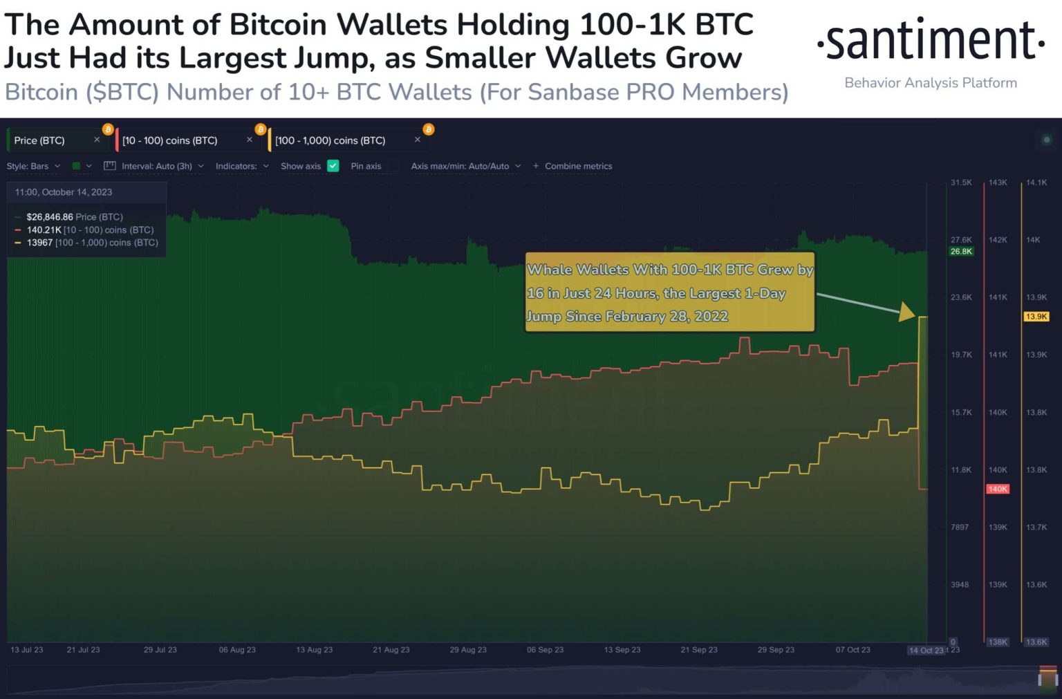 Bitcoin: Whales accumulate despite stagnating prices – is this why?