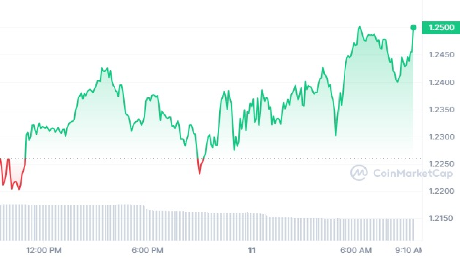 Best Altcoins To Buy Before The Next 2025 Bull Run