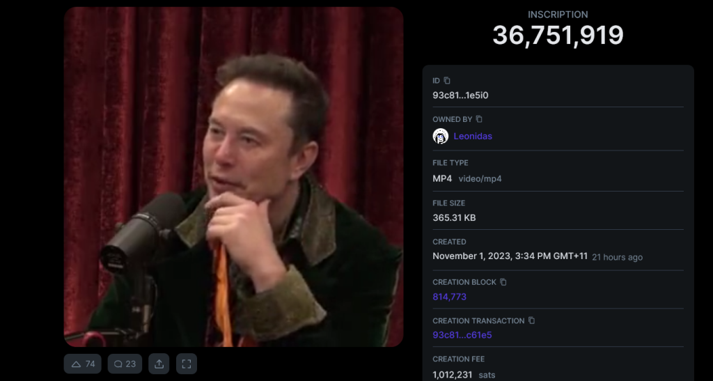 Elon Musk slams NFTs but ends up arguing the case for Bitcoin Ordinals
