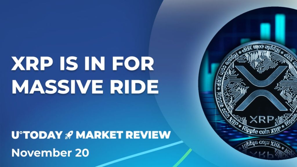 Liquidations, ETF Rumors, What’s Next?