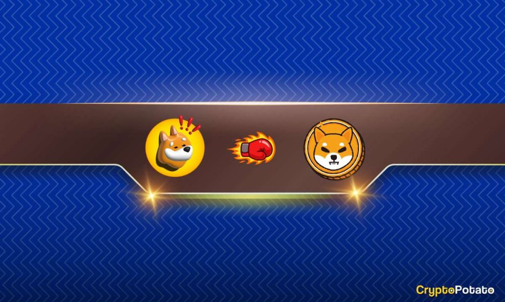 Will BONK Flip Shiba Inu (SHIB)? Arthur Hayes Chips In
