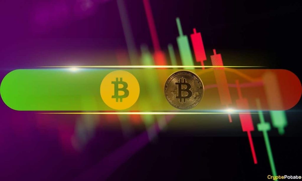 BSV Skyrockets 110% Weekly and Taps $100, BTC Struggles Below $42K (Weekend Watch)