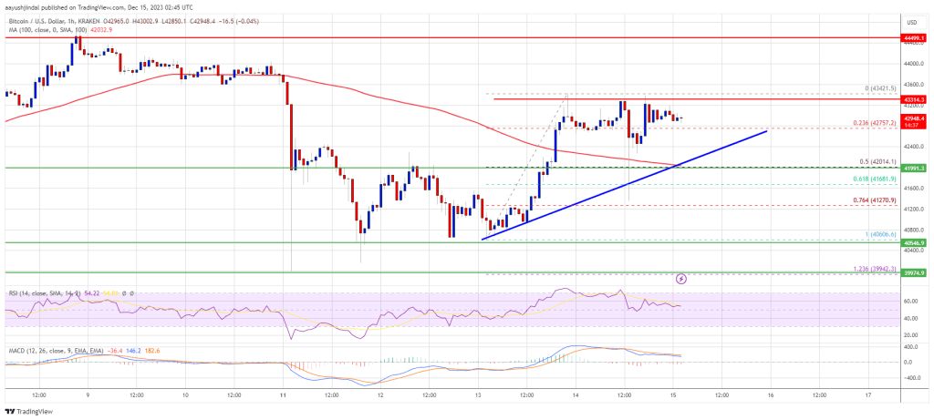 Bitcoin Price Uptrend To Continue? These Could Be The Factors To Watch