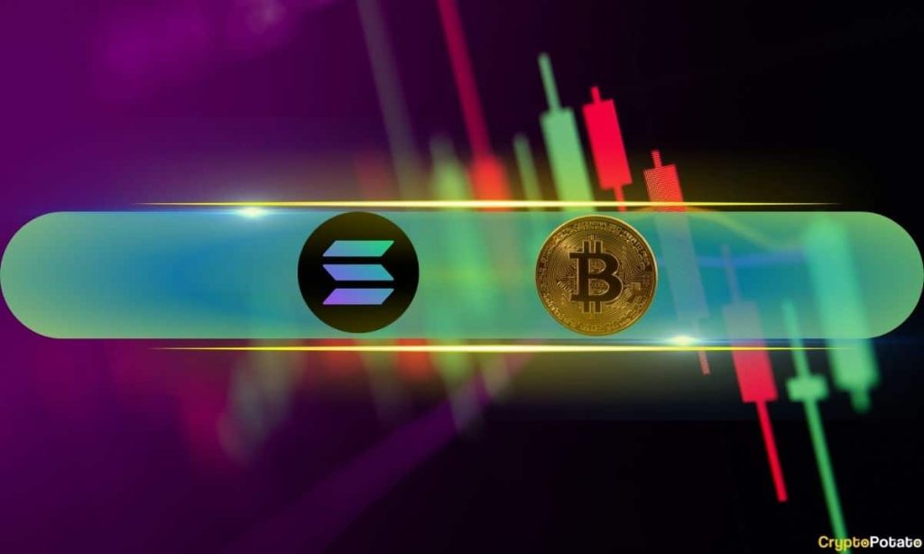 Bitcoin (BTC) Touched $44K, Solana (SOL) Soars to 19-Month Peak Above $85 (Market Watch)