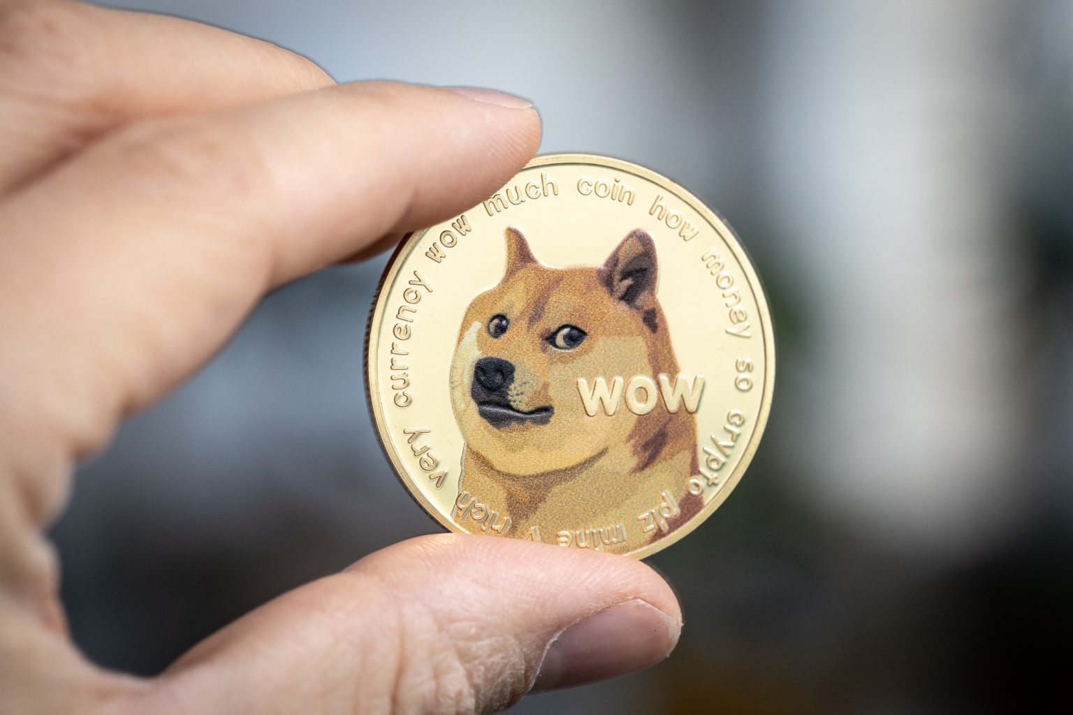 What Are Altcoins? How To Spot Altcoin Season And How To Buy