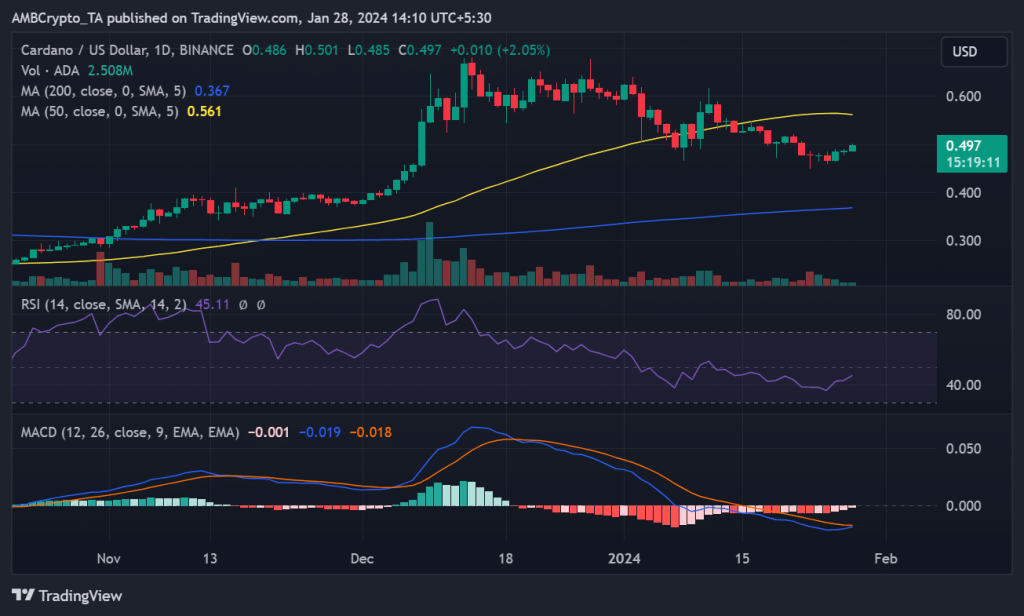 Cardano: Is a recovery on the cards?