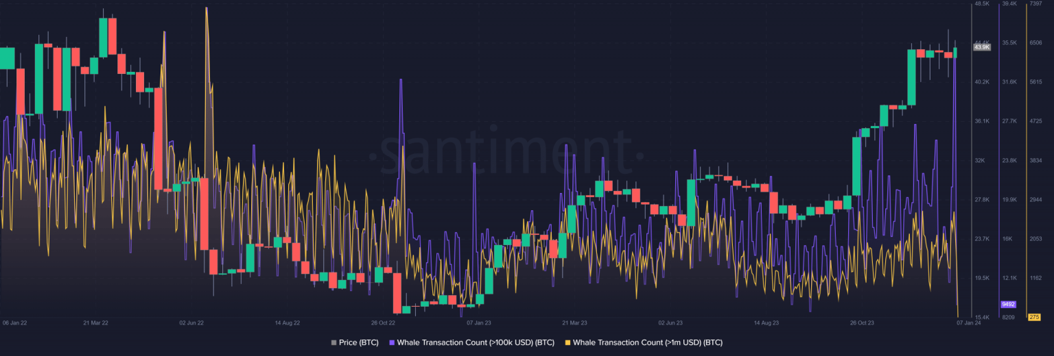 Bitcoin: Rising transactions cause speculation, more inside