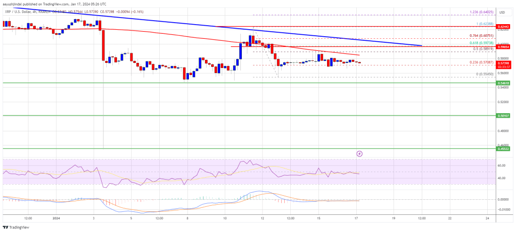 XRP Price Uptrend To Continue? These Could Be The Factors To Watch