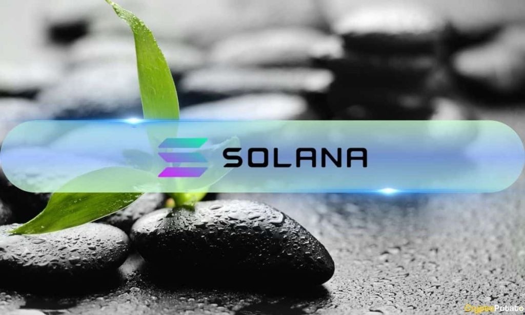 Solana Investors Flock Back With $13M Inflows Beating Ethereum, Avalanche