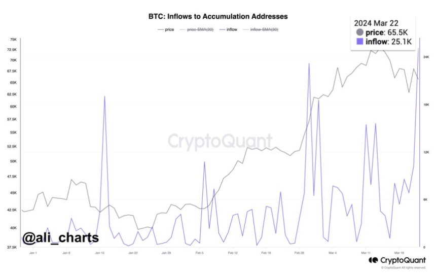 Bitcoin Addresses Add $1.6 Billion In BTC In A Single Day