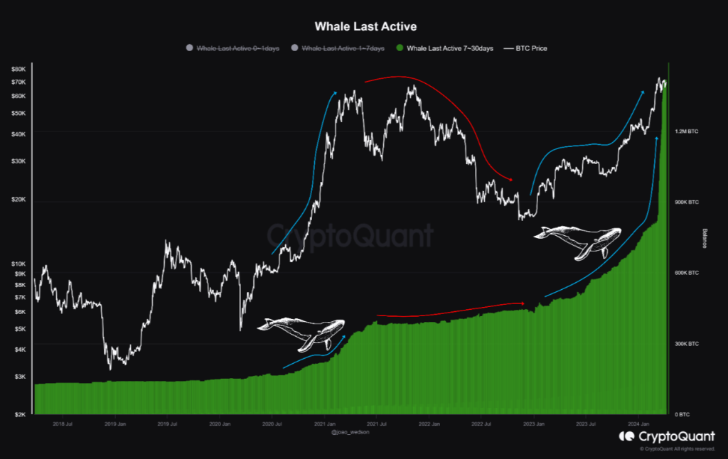 Is this Bitcoin bull run different? Key indicators say…