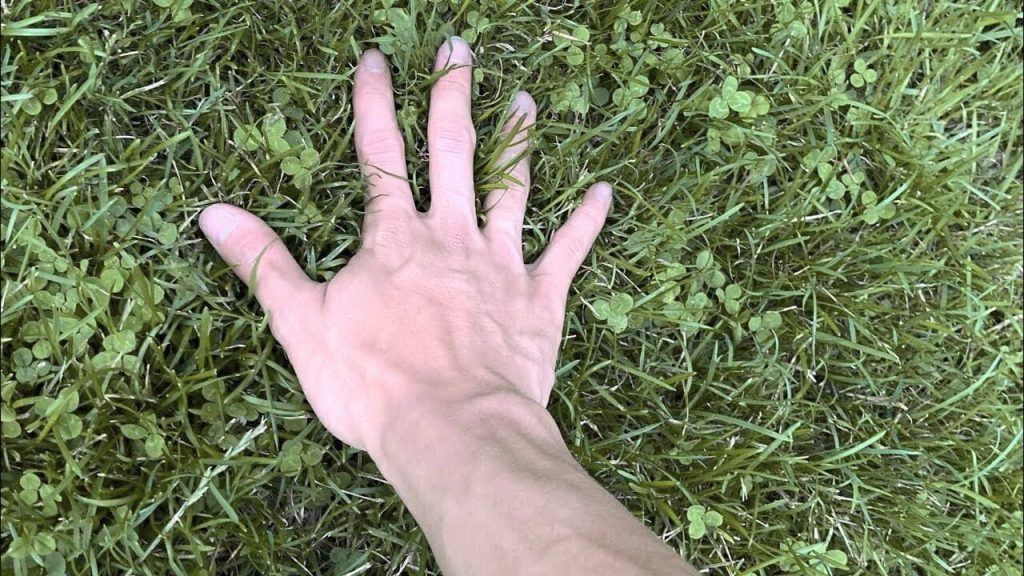 PSA: The Bull Run Ain’t Over! Go Touch Some Grass