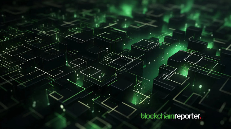 Nightly Wallet Integrates Vara Network to Improve Asset Management