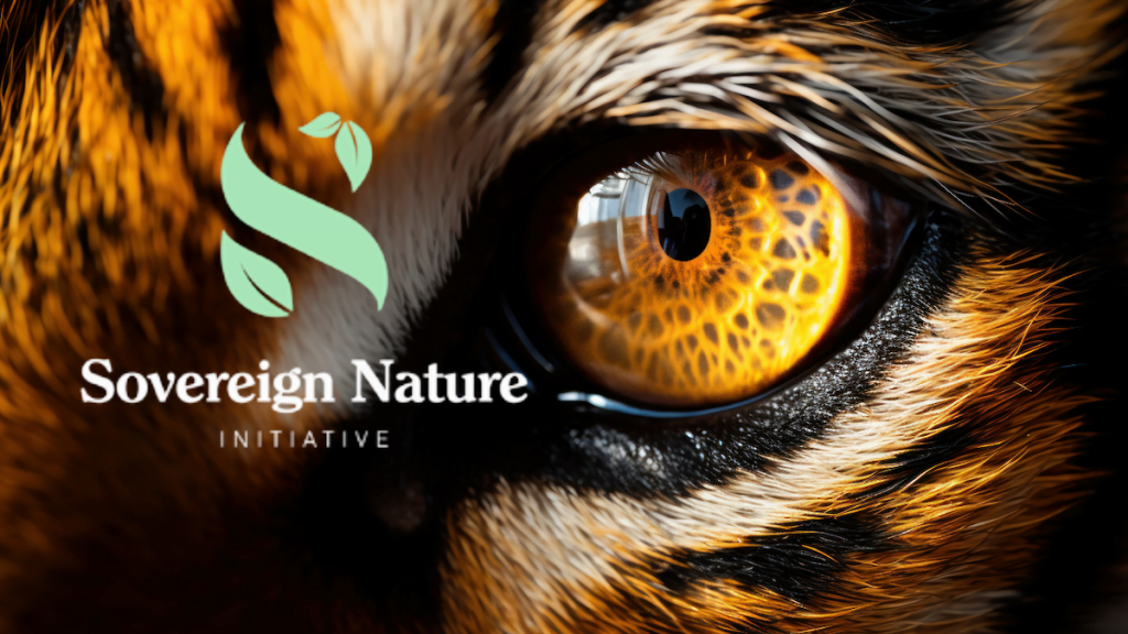 DOTphin: Dynamic NFT Project for Biodiversity Restoration