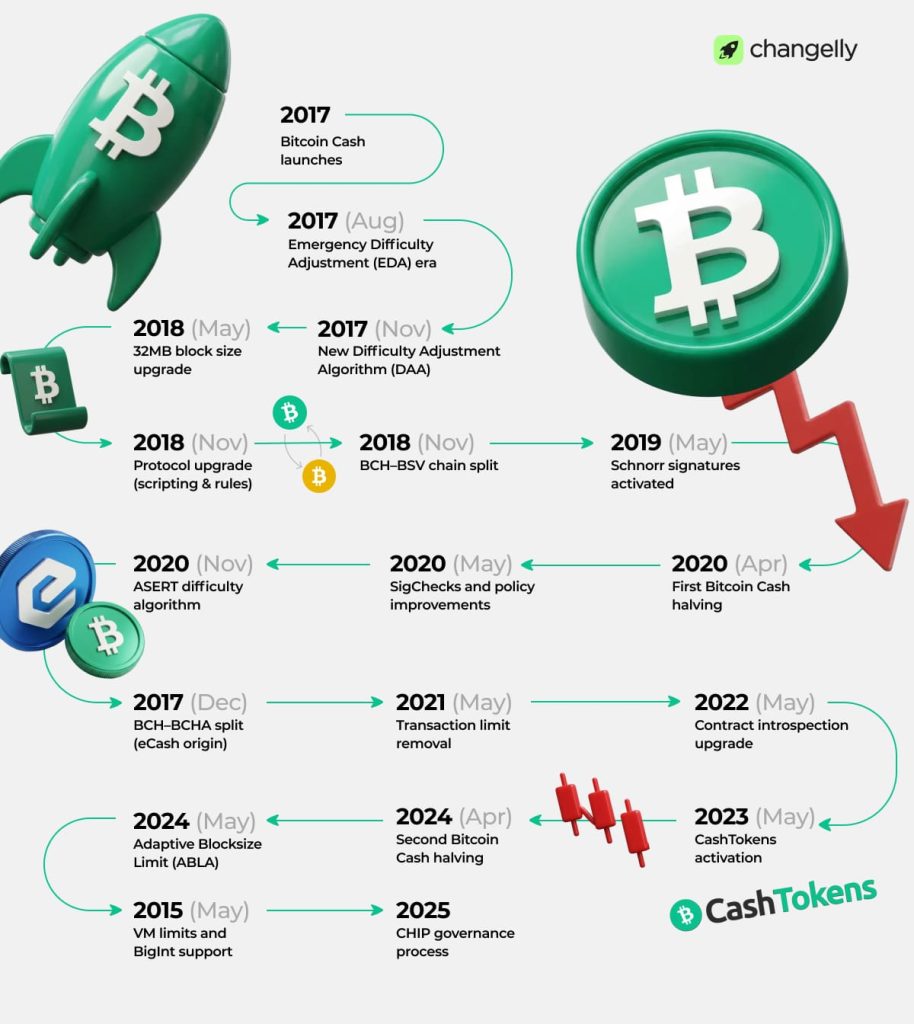What Is Bitcoin Cash (BCH)? A Simple Guide for Beginners